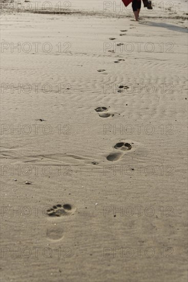 Footprints in the sand