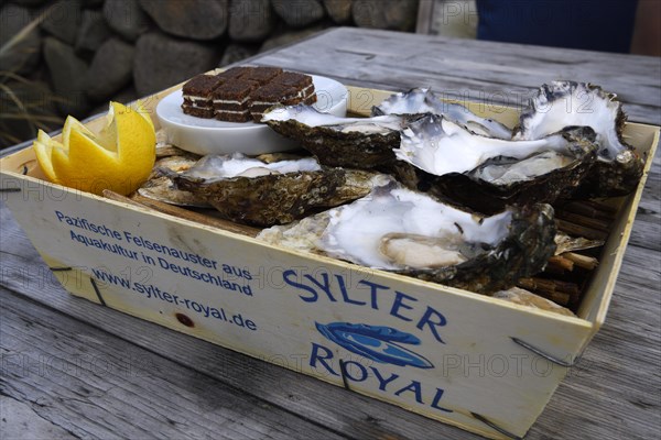 6 fresh oysters