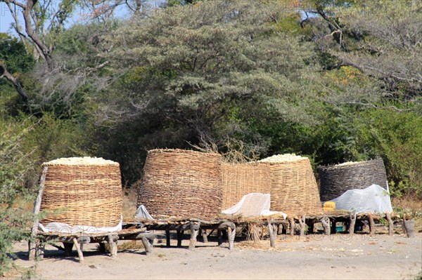 Maize silo