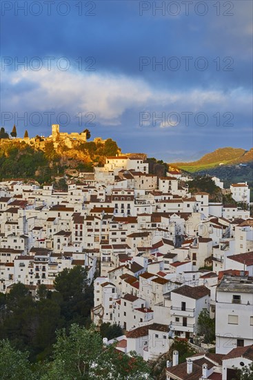 Casares