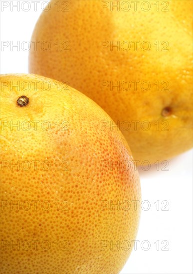 Citrus paradisi