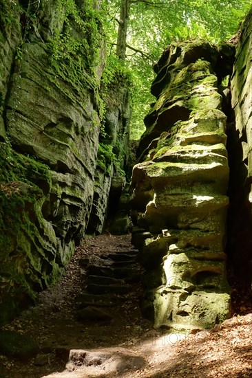 Devil's Gorge