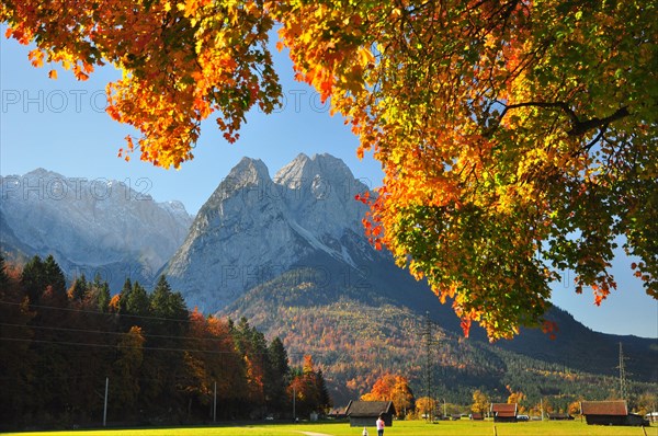 Autumn