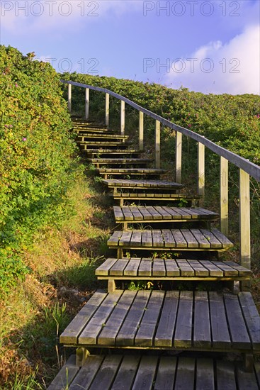 Access to the beach through the dunes of Rantum