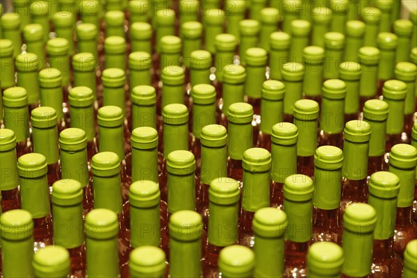 Fresh bottled white wine