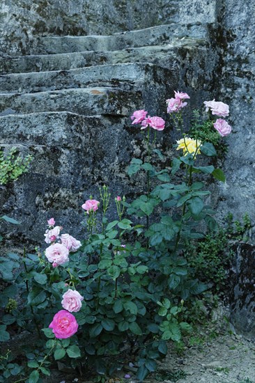 Stone stairs