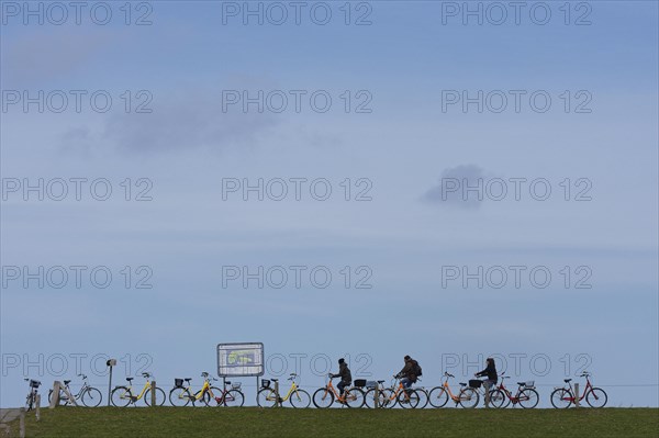 Parked bicycles and cyclists