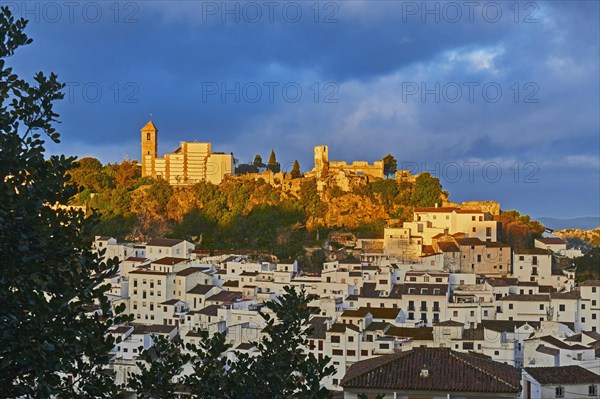 Casares