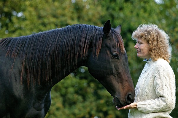 ENGLISH THOROUGHBRED HORSE