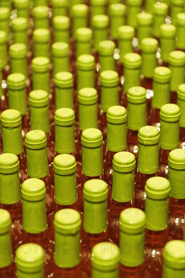 Fresh bottled white wine