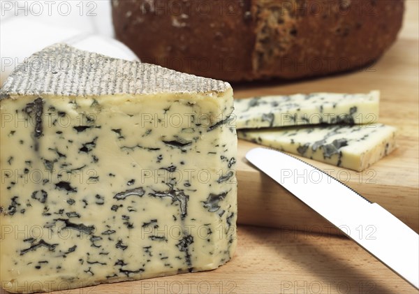 BLEU DES CAUSSES