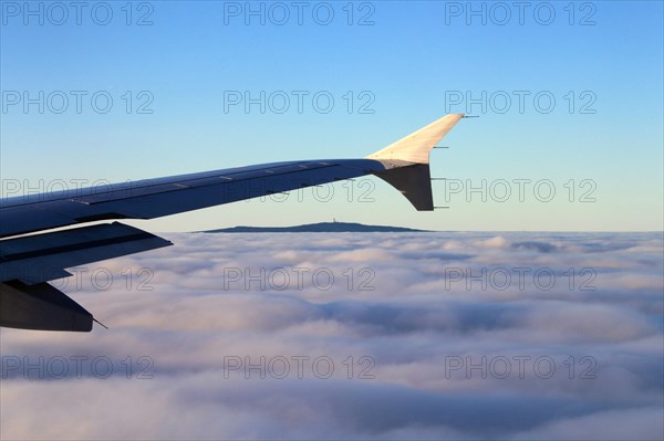 Aircraft wing