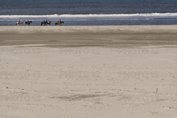 Horse-rider am Strand