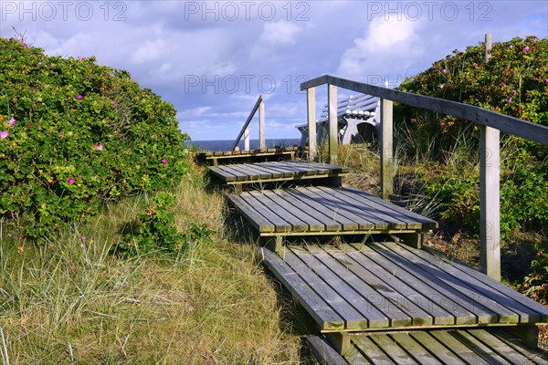 Access to the beach through the dunes of Rantum