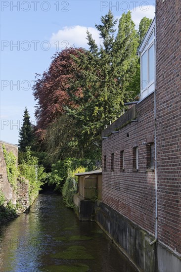 Muehlenteich stream