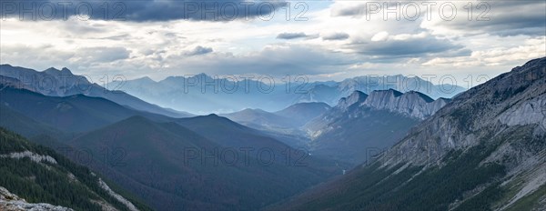 View into forested valley