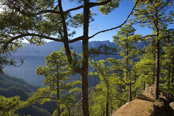 Parque Nacional de la Caldera de Taburiente at Mirador de Las Chozas