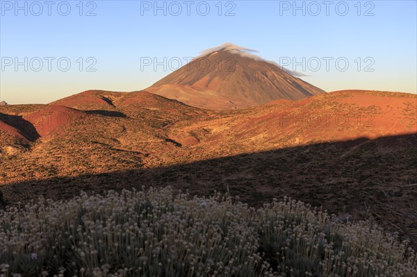 Tenerife