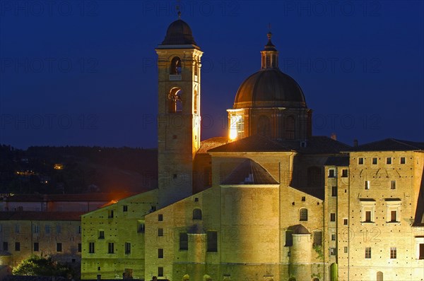 Urbino