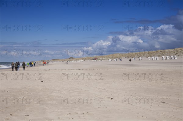 Sandy beach beach at the Hoernumer Odde