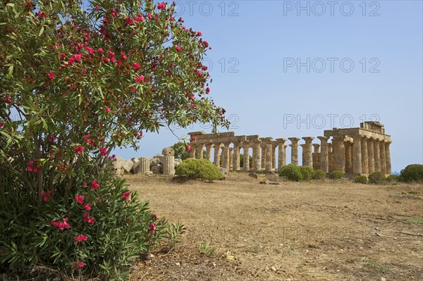 Temple E