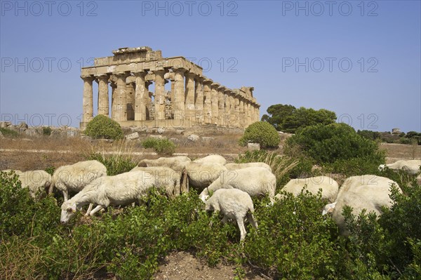 Temple E
