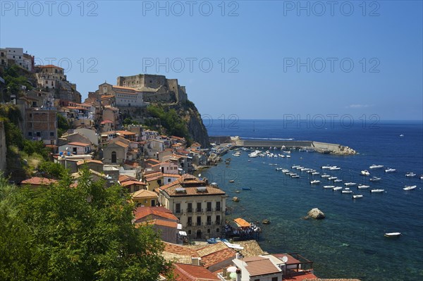 Scilla