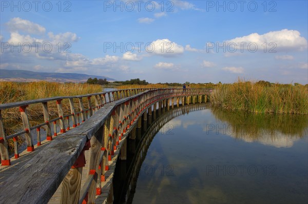 Daimiel
