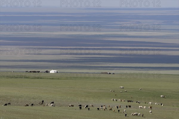 Camp in the Gobi