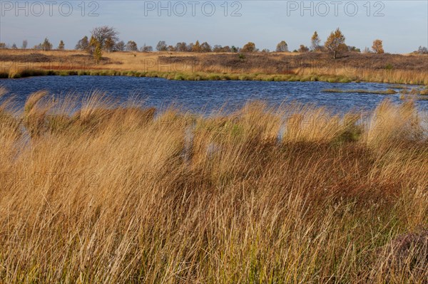 Autumn In the Platten Venn