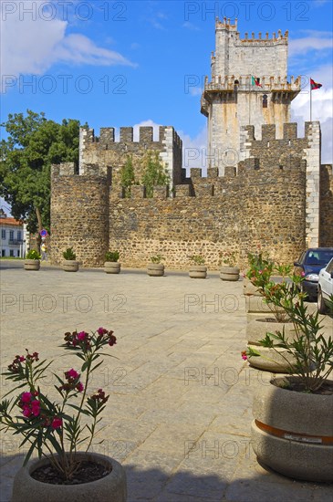 Beja