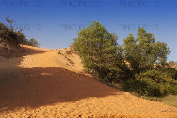 Red sandstone formations