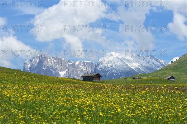Alpine huts on the Alpe di Siusi with Sassolungo and Sassolungo