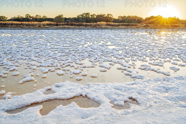 Salt production