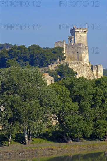 Beaucaire Castle