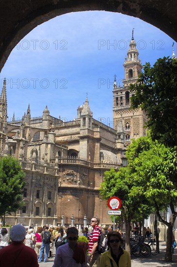 Cathedral and Giralda Tower