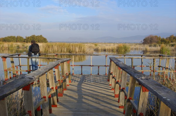 Daimiel