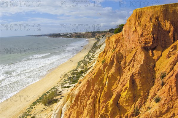 Falesia Beach