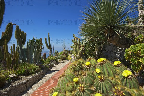 Jardin Exotique in Eze