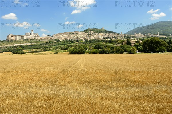Assisi
