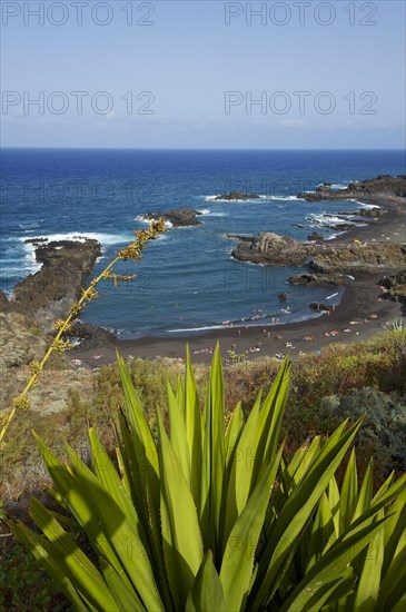 Playa de los Cancajos