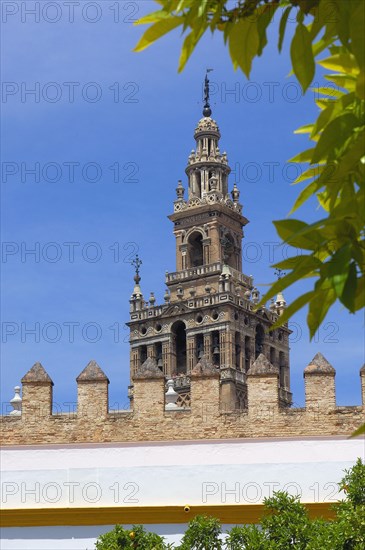 Giralda Tower