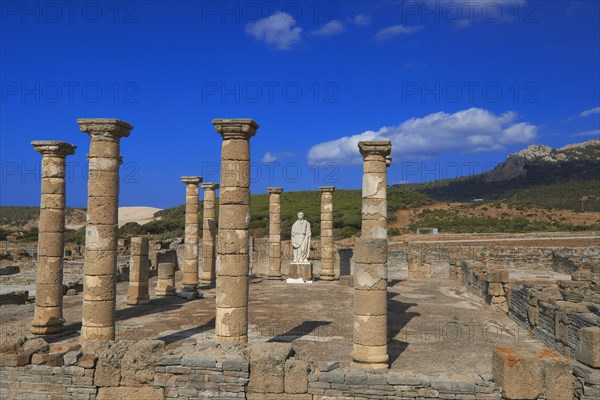 Bolonia