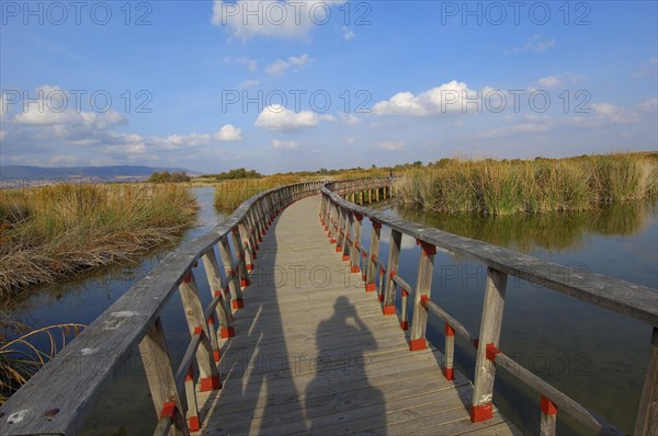 Daimiel