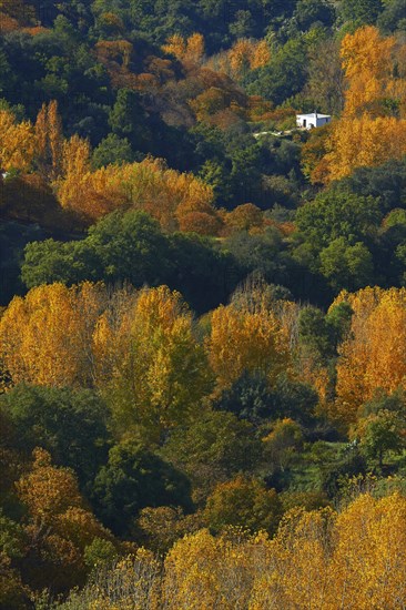 Valle del Genal