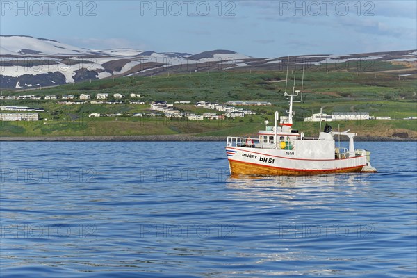Old fishing boats are used for whale-watching
