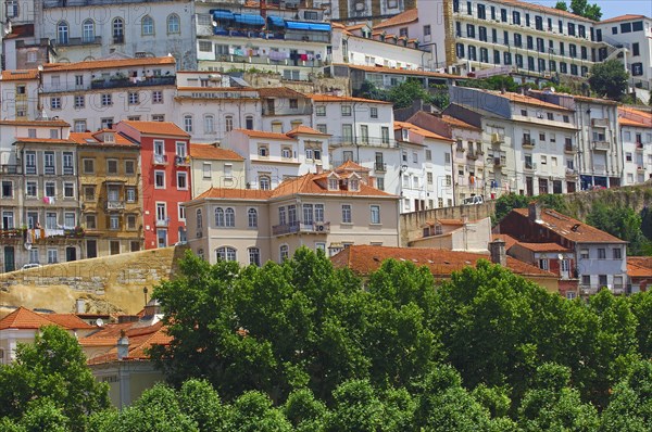 Old Town