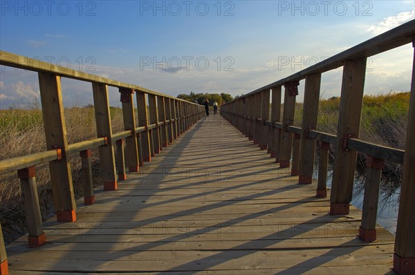 Daimiel