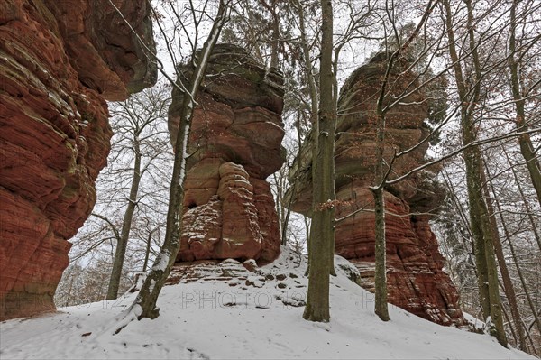 Natural Monument