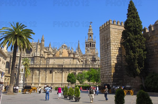 Cathedral and Giralda Tower